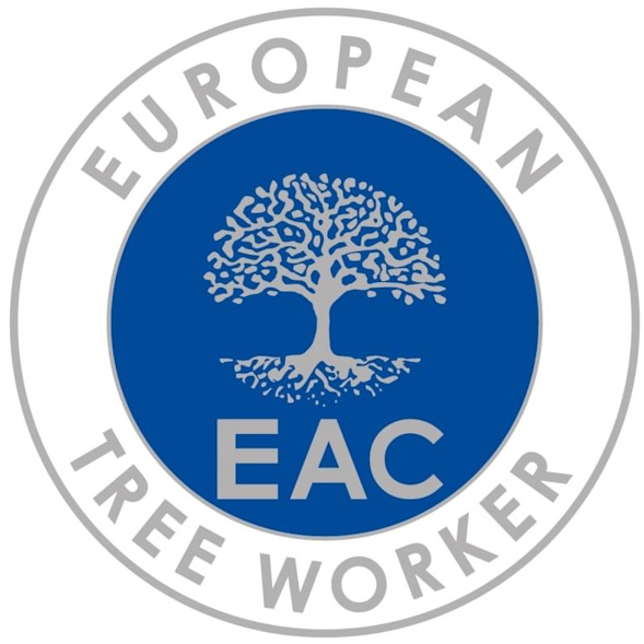 Boomverzorging in Limburg laat je graag over aan de gecertificeerde Allround European Tree Worker.