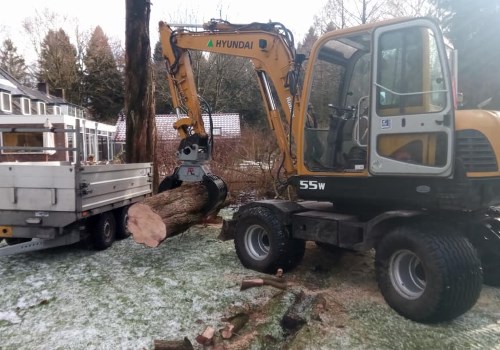 Bomen laten kappen in Arnhem