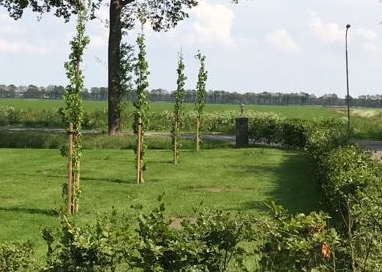 Bomen laten planten in Wanneperveen door Groentechniek Klomp