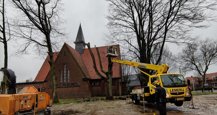 In sommige gevallen is bomen rooien de enige optie. In sommige gevallen is bomen rooien de enige optie.