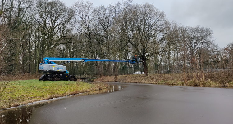 Een onderdeelvan de boomverzorging in Doetinchem is het snoeiwerk.