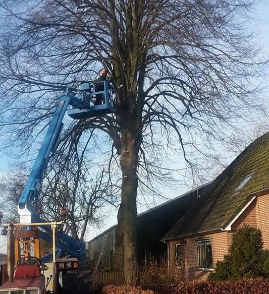 Bomen snoeien in Hardenberg