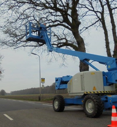 Bomen snoeien in Heerenveen