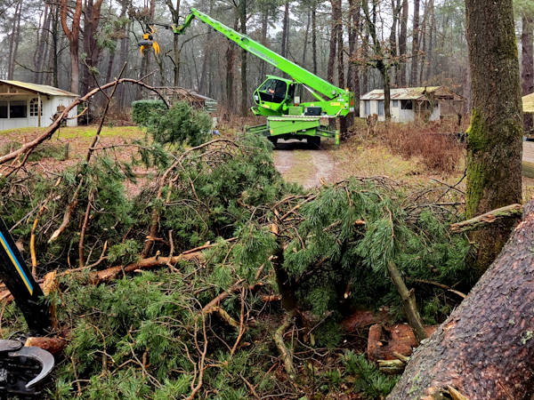 Laat veilig en snel jouw bomen snoeien in Overijssel door de experts van Groentechniek Klomp.