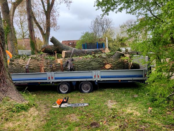 Ook het bomen verwijderen in Amstelveen kunnen de experts van Groentechniek Klomp veilig en snel voor je uitvoeren.