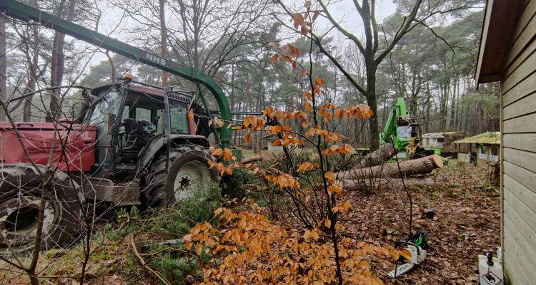 Ook voor het verwijderen van bomen in Dronten kun je bij Groentechniek Klomp terecht.