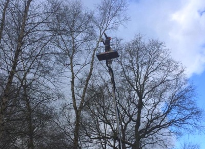Bomen verzorgen in Zwolle door Groentechniek Klomp