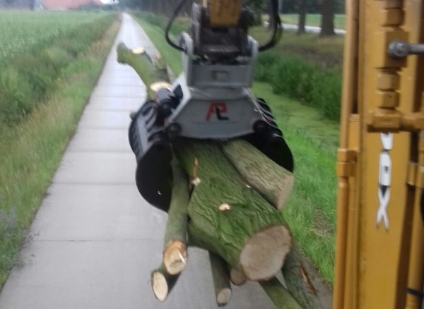 Bomen laten weghalen in Dedemsvaart