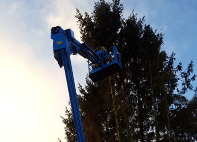 Voor professioneel boomonderhoud in Friesland kun je bij Groentechniek Klomp terecht