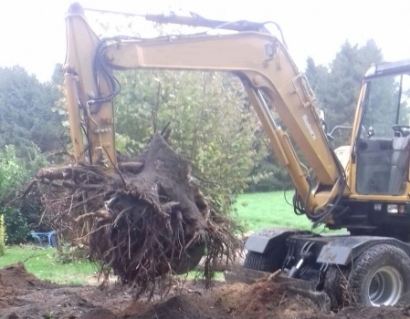 Je kunt ervoor kiezen om de gehele boomstronk te laten verwijderen in Enschede door de specialisten van Groentechniek Klomp.