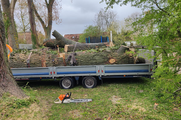 Jouw bomen laten weghalen in Amstelveen doe je door de ervaren deskundigen van Groentechniek Klomp.