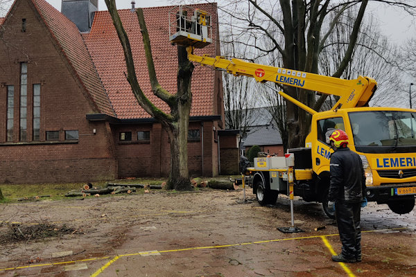 Laat jouw bomen kappen in Leeuwarden door de gecertificeerde boomverzorgers van Groentechniek Klomp.