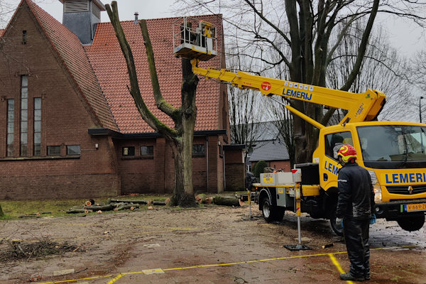 Laat jouw bomen verwijderen in Amstelveen door de gecertificeerde boomverzorgers van Groentechniek Klomp.