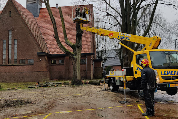 Het weghalen van jouw boom in Apeldoorn wordt snel en veilig uitgevoerd door onze specialisten.