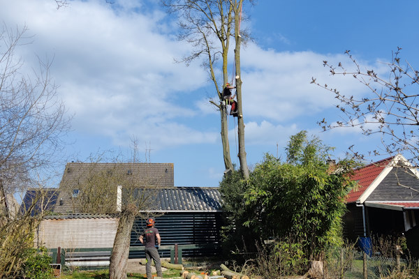 In Hengelo jouw boom verwijderen laat je doen door de deskundigen van Groentechniek Klomp, want zij doen dit veilig en snel.