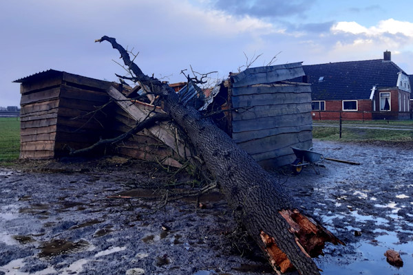 Het is ontzettend belangrijk dat omgewaaide bomen verwijderen in Hengelo veilig en snel gebeurt, dit doen onze gecertificeerde boomverzorgers graag voor je.