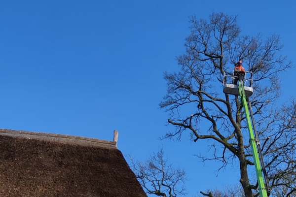 Laat in Staphorst jouw bomen rooien door onze deskundige boomverzorgers voor het beste resultaat.