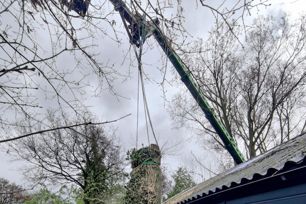 Er zijn verschillende manieren van bomen verwijderen in Leeuwarden die kunnen worden toegepast door onze vakkundige boomverzorgers.