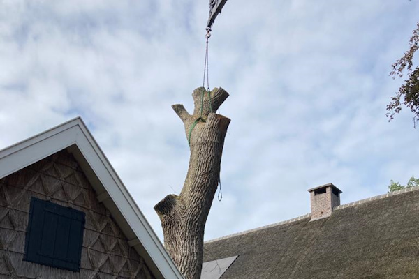 In Zwolle jouw bomen laten verwijderen laat je uitvoeren door de ervaren deskundigen van Groentechniek Klomp.