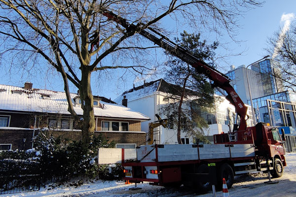 Laat veilig en snel jouw bomen weghalen uit Zwolle door de experts van Groentechniek Klomp.