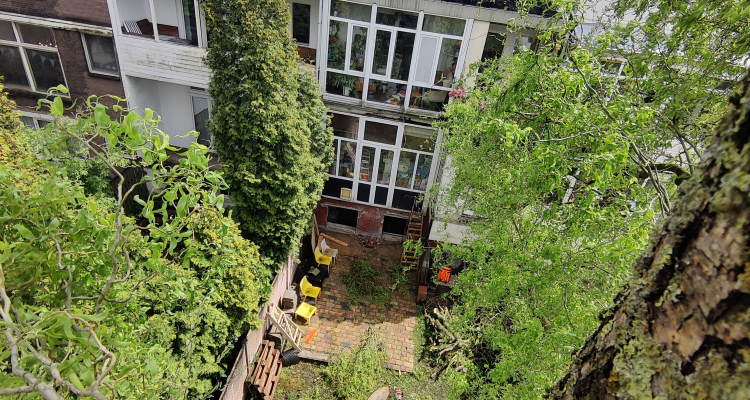 Tijdens de boomverzorging in Doetinchem wordt de boom van A tot Z gecontroleerd. Tijdens de boomverzorging in Doetinchem wordt de boom van A tot Z gecontroleerd.
