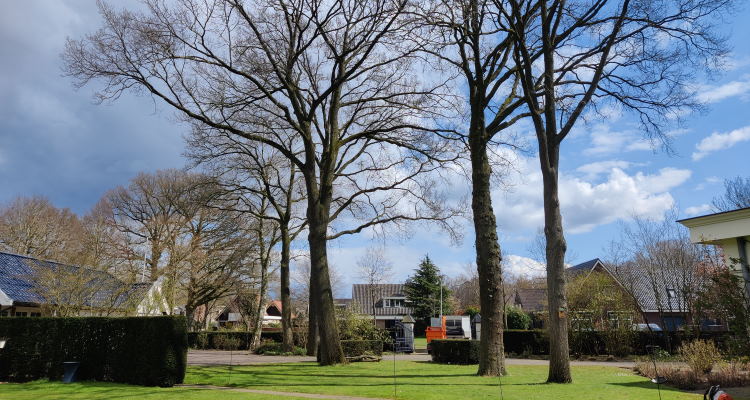 Boomverzorging in Dronten laat je uitvoeren door Groentechniek Klomp.