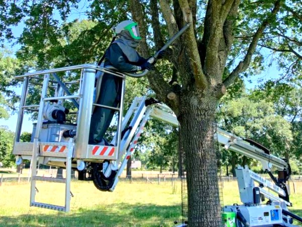 Voor al je boomverzorging in Staphorst helpt Groentechniek Klomp.