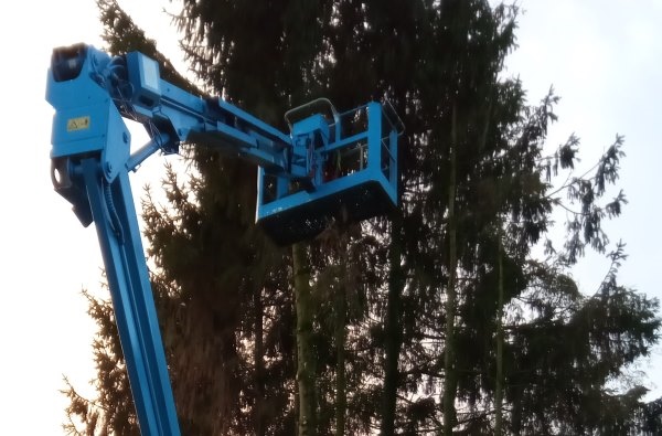 Wij kunnen je bomen toppen in Zuidwolde