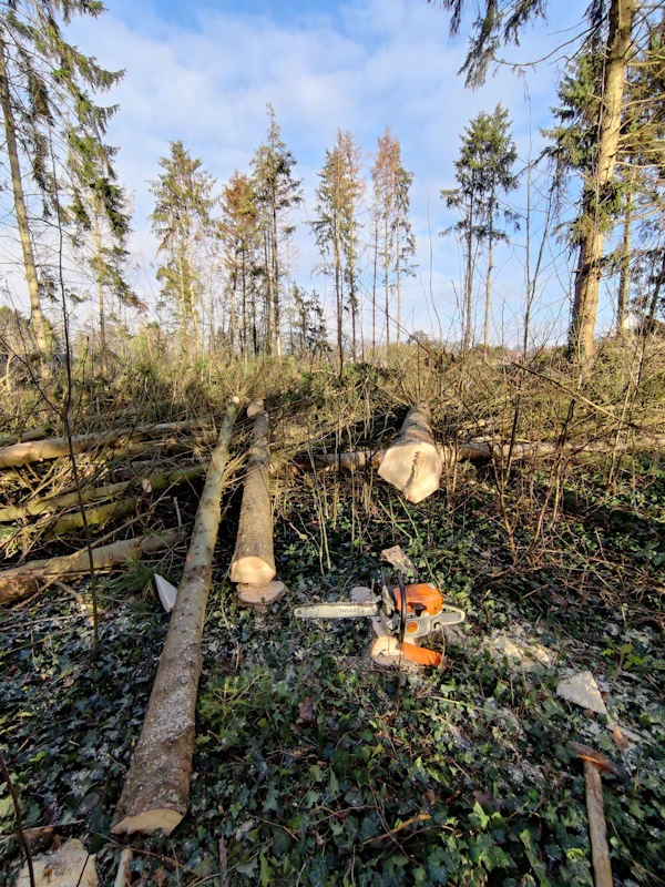 Ook voor professioneel bosbeheer in Gelderland kun je terecht bij de specialisten van Groentechniek Klomp.