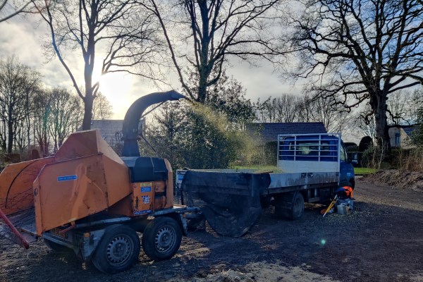 Met bos beheer in Groningen houdt Groentechniek Klomp op regelmatige basis jouw bosperceel in de gaten.