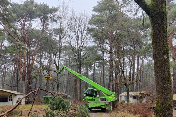 Op zoek naar een partner in bos beheer in overijssel? Groentechniek Klomp is je graag van dienst.