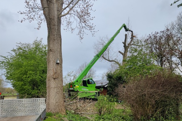 Met uitgebreide kennis en ervaring verzorgt Groentechniek Klomp graag het bos onderhoud in Den Haag ✓ Meer dan 10 jaar ervaring ✓ Gediplomeerd ✓ Veelzijdig 