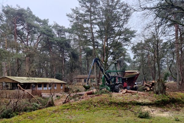 Groentechniek Klomp verzorgt je complete bosonderhoud in Flevoland.