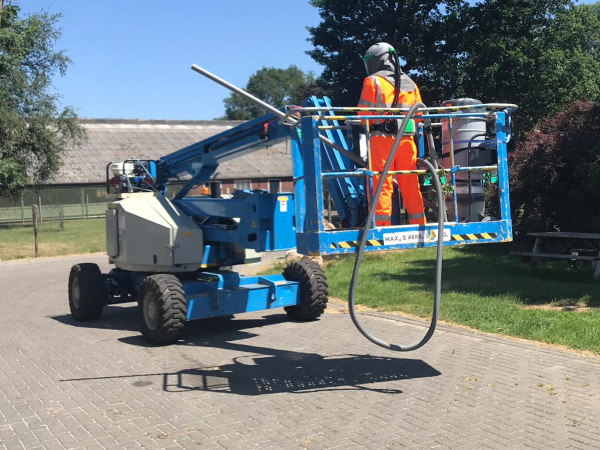 In beschermende kleding verwijderen de boomverzorgers van Groentechniek Klomp de eikenprocessierupsen in Coevorden