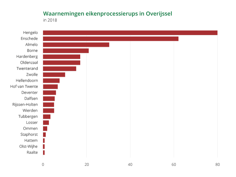 De eikenprocessierups is al een aantal jaren erg actief in Overijssel