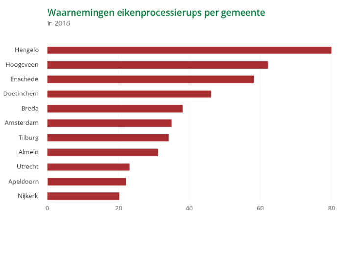 Waarnemingen eikenprocessierups in gemeente Hoogeveen in 2018