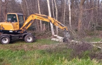 Omgewaaide bomen verwijderen Kampen