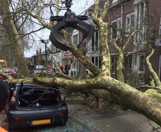 Omgewaaide bomen verwijderen in Zuidwolde door Groentechniek Klomp