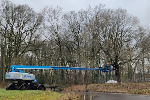 Boomonderhoud in Dordrecht voor veilige bomen en langdurig behoud Boomonderhoud in Dordrecht met een hoogwerker voor veilig onderhoud van grote bomen.