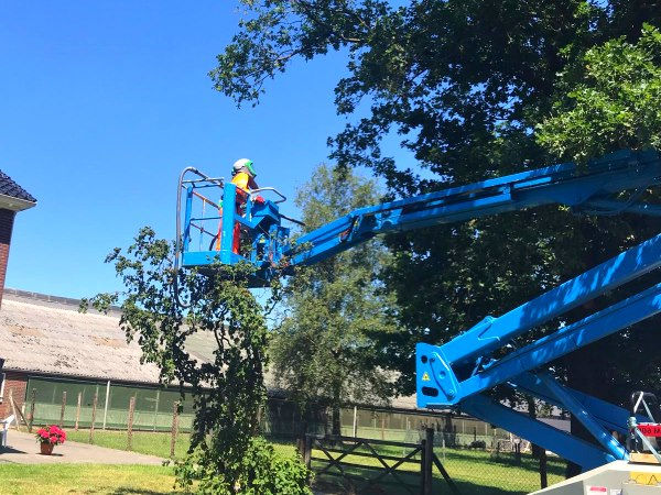 Boomonderhoud in Ommen voor gezonde bomen met deskundig en veilig onderhoud Boomonderhoud in Ommen waarbij een boomspecialist met een hoogwerker een jonge boom veilig onderhoudt.