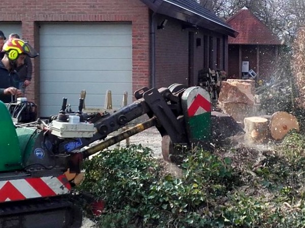 Boomverzorgers in Den Haag verwijderen een boomstronk met een stobbenfrees.