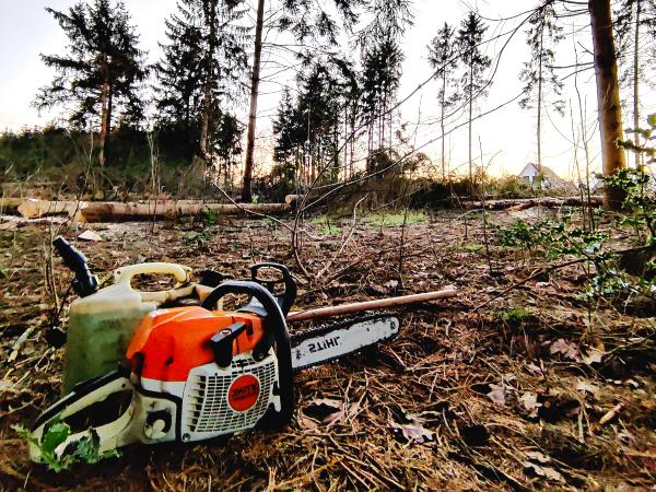 Boomverzorging in Lelystad door ervaren vakmensen voor veilig en zorgvuldig boomwerk Boomverzorging in Lelystad met kettingzaag op een locatie waar bomen zijn verwijderd.