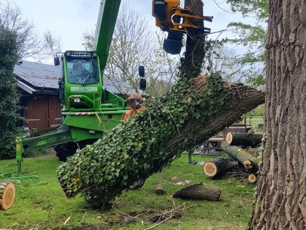 Boomverzorging in Ommen voor het veilig verwijderen van bomen op iedere locatie Boomverzorging in Ommen waarbij een boom veilig en gecontroleerd wordt verwijderd met professioneel materieel.