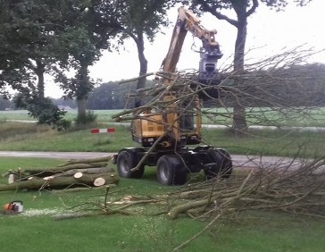 Omgewaaide bomen in Heerenveen verwijderen