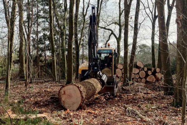Een omgezaagde boom die wordt afgevoerd met een houtoogstmachine in een bos