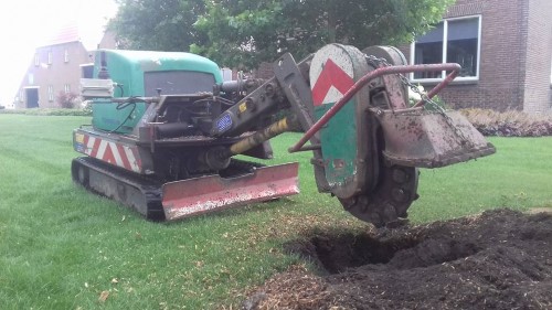 Bomen rooien door boomverzorging Assen Bomen rooien Assen