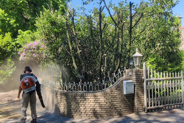 Voor een prachtig resultaat kun je jouw tuin laten onderhouden door de ervaren experts van Groentechniek Klomp.