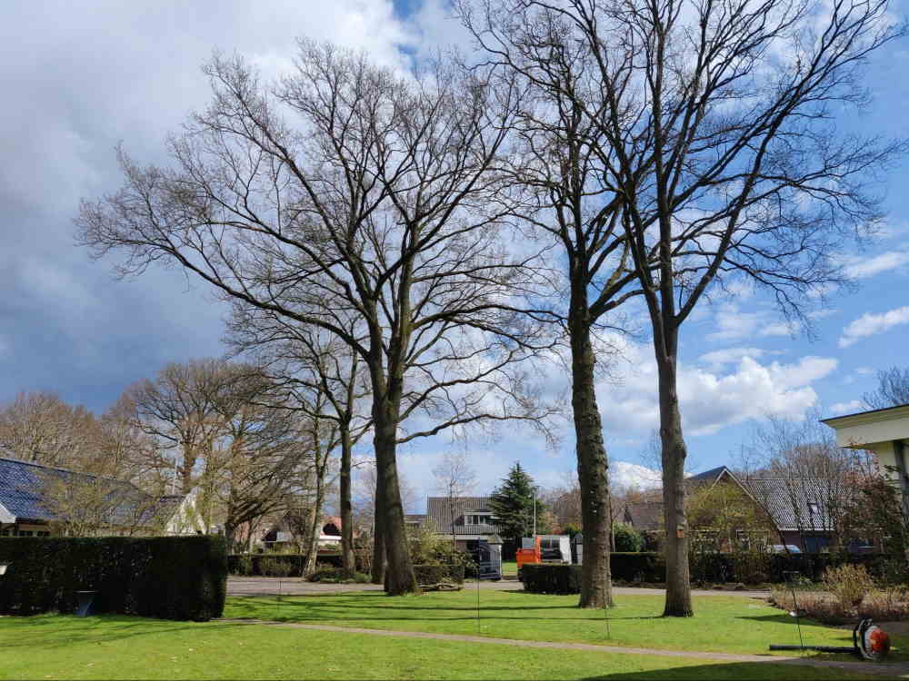 Gazononderhoud is één van de onderhoudstaken die wij als hovenier in Drenthe uitvoeren.