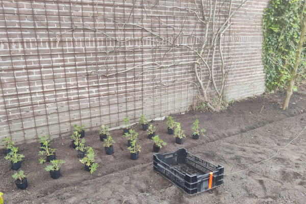 Je tuinonderhoud uitbesteden doe je natuurlijk bij de gepassioneerde hoveniers van Groentechniek Klomp.